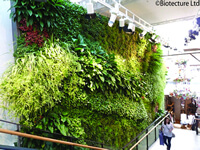 Green Walls & Living Wall Systems